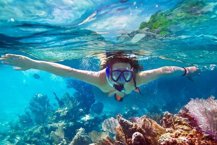 Snorkeling from Unawatuna