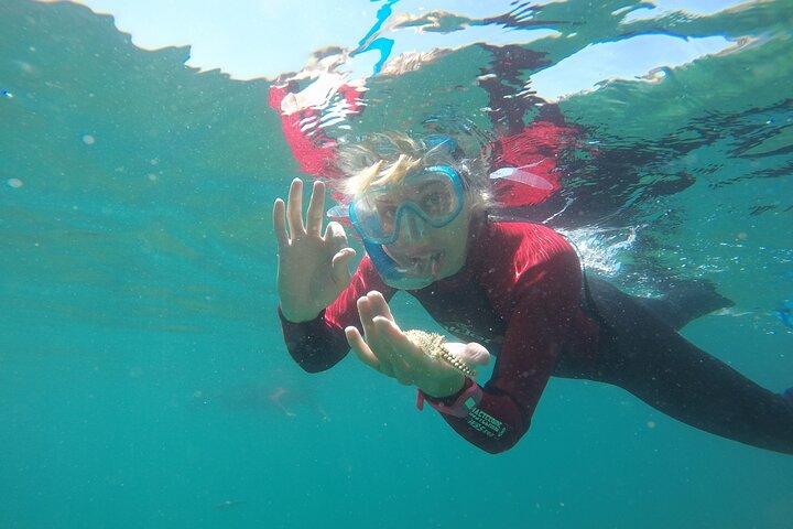 Snorkeling - Marine Park Discovery