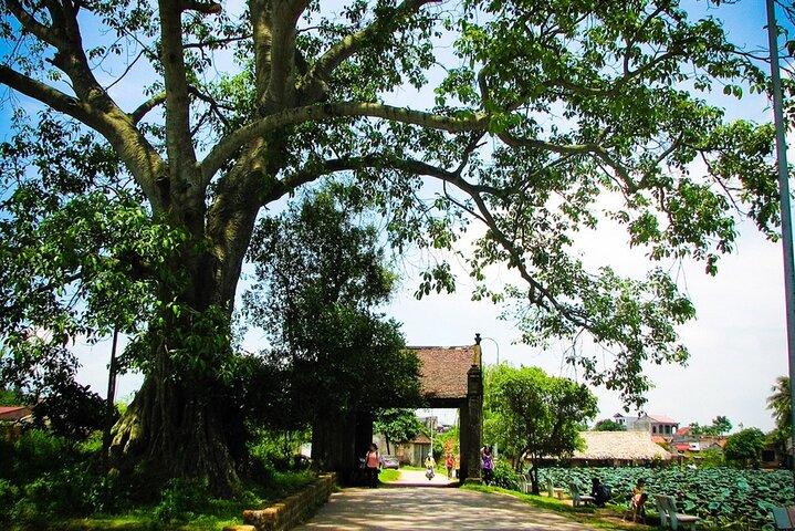 1-day Visiting Tho Ha and Dong Ky Traditional Village from Hanoi