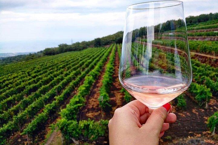Etna panoramic private tour and Wine taste and food combination