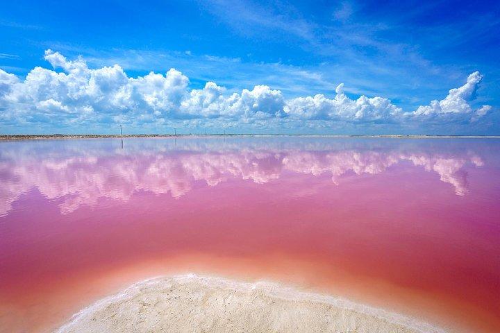 Pink Lake Las Coloradas + Rio Lagartos Reserve! From Cancun