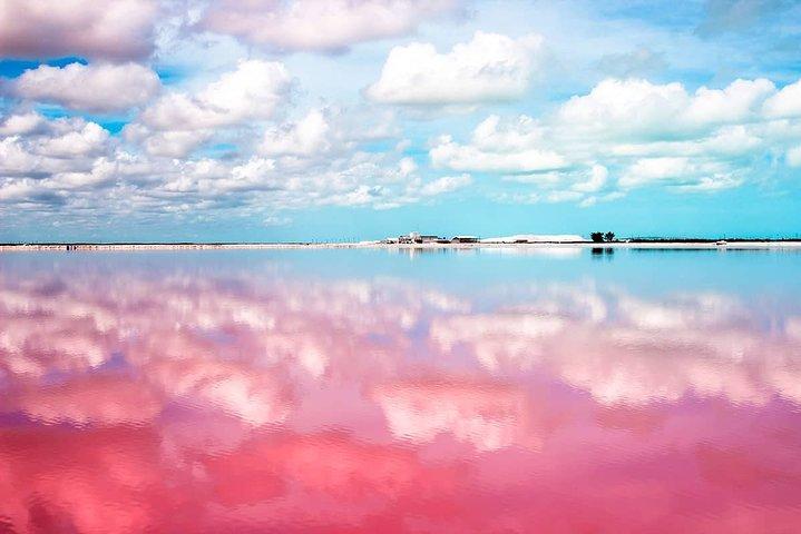 Pink Lake Las Coloradas + Rio Lagartos Reserve! From Cancun