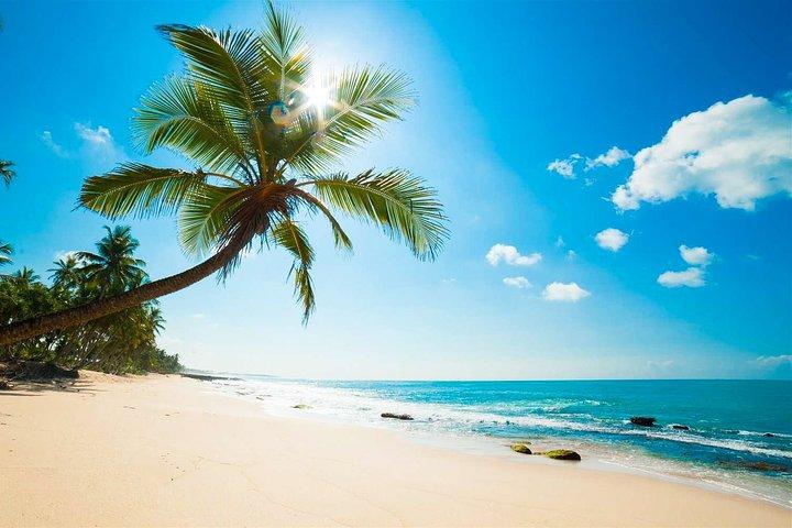 Negombo City Tour from Colombo