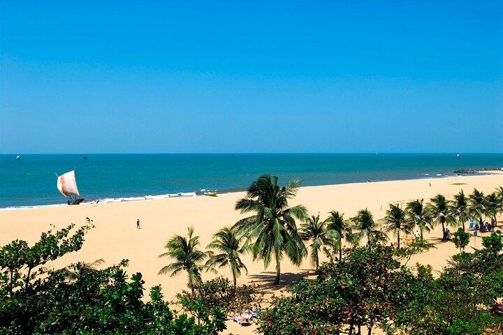 Negombo City Tour from Colombo
