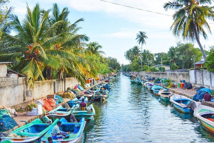 Negombo City Tour from Colombo