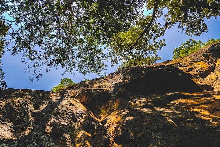 Hike to Danigala Circular Rock from Aaralaganwila