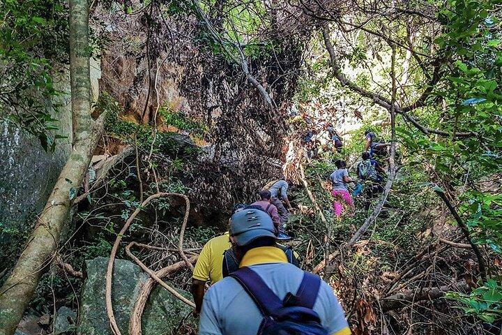Hike to Danigala Circular Rock from Aaralaganwila