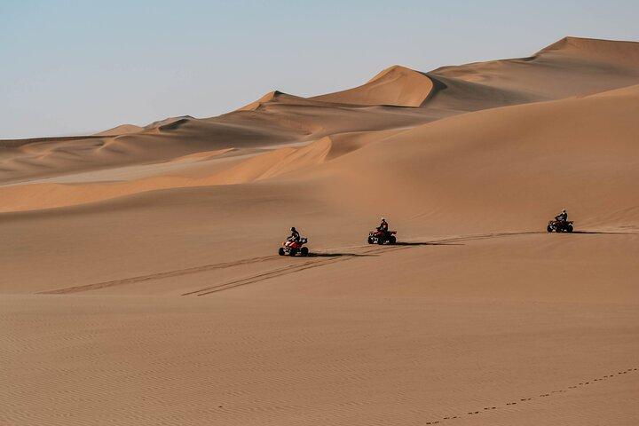 Quad Bike Tour (90min)