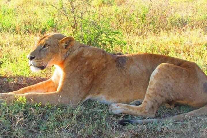 4 Days Safari to Tsavo East N/P, Tsavo West N/P, Amboseli N/P