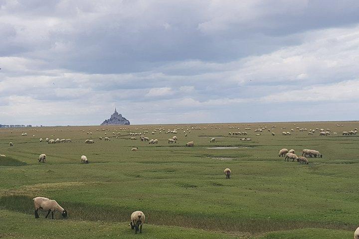 Private Day Trip to Mont Saint-Michel from Saint-Malo with local driver-guide