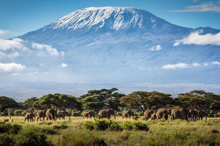 8 Days Mt Kilimanjaro Climb - Lemosho Route