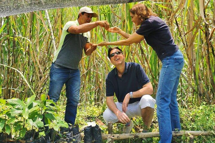 Coffee & Chocolate Private Tour in Medellin: Genuine Experience