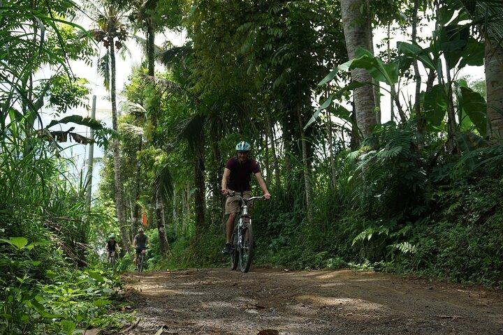 Kintamani Cultural and Nature Cycling Tour ( Manual Bike )