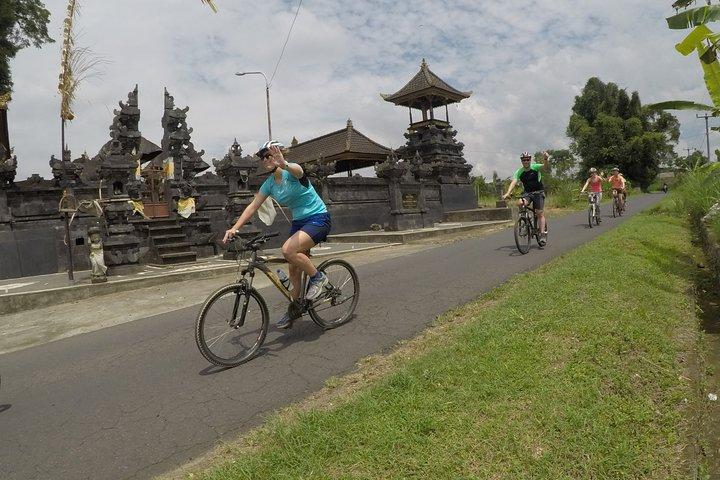Kintamani Cultural and Nature Cycling Tour ( Manual Bike )