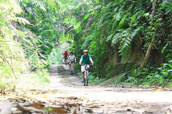 Kintamani Cultural and Nature Cycling Tour ( Manual Bike )
