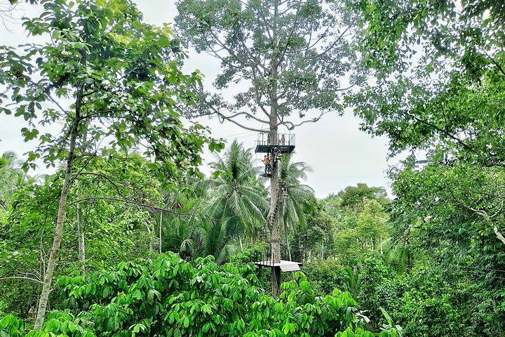 Samui Zipline Explore and Connect with Nature