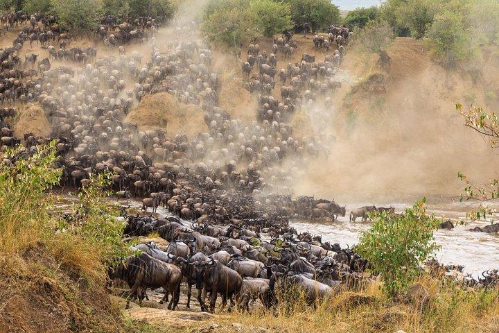 8 Days Great Wildebeest Migration - Mara River Crossing