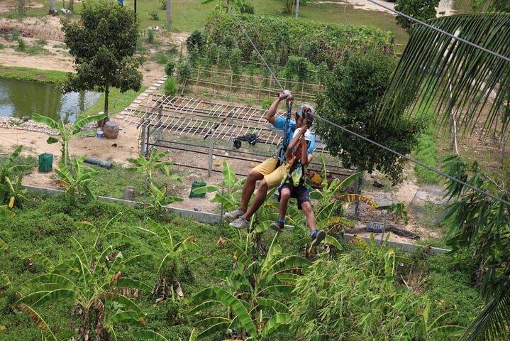 Jungle Xtreme Zipline 16 Platforms Tour From Koh Samui