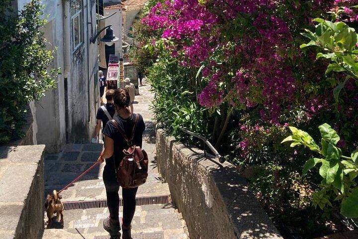 Walking tour from Minori to Maiori along the Path of the Lemons
