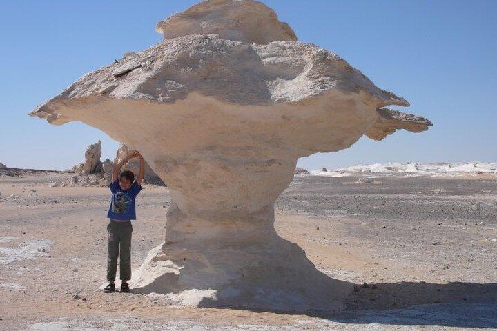 Cairo : Marvel the Camping in the White & Black Deserts & Cairo Private Transfer