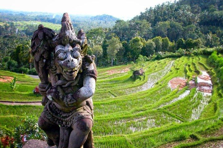 Water Temples and UNESCO Rice Terraces Private Bali Tour