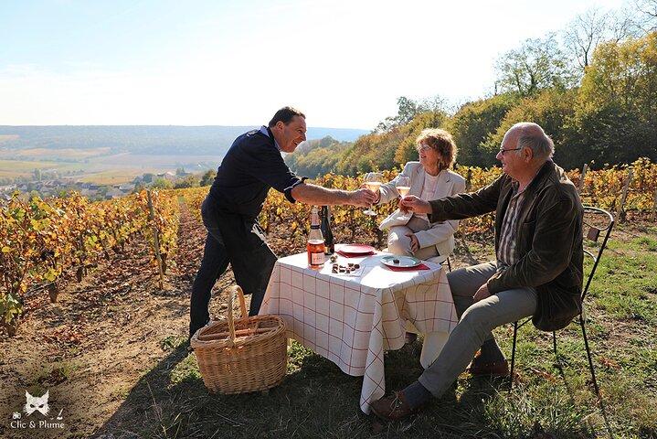 A unique sensory experience in the vineyards