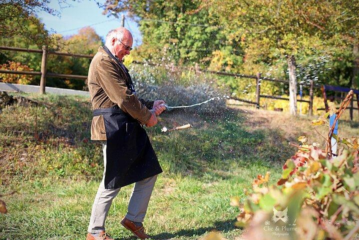 A unique sensory experience in the vineyards