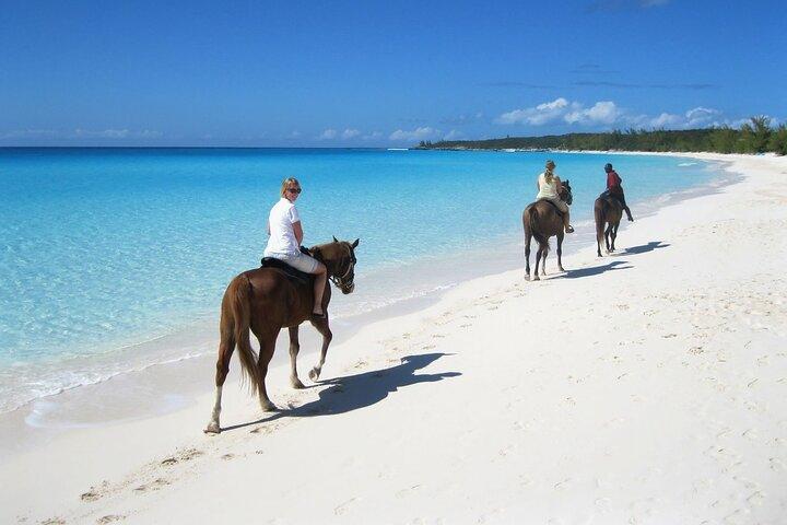 Half-Day Beach Horse Back Riding in Puerto Plata