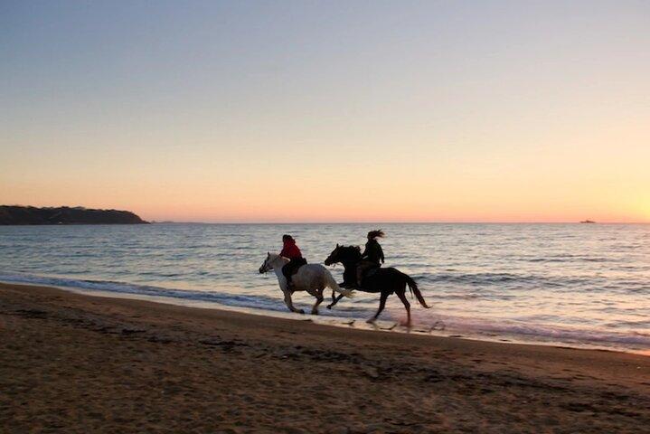 Half-Day Beach Horse Back Riding in Puerto Plata