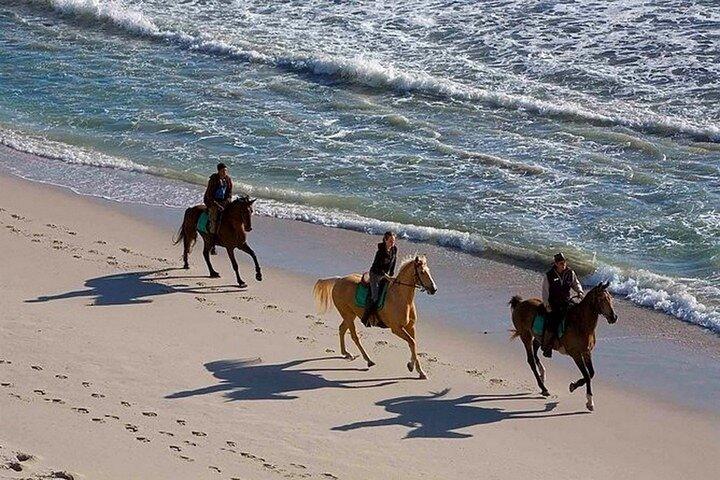 Half-Day Beach Horse Back Riding in Puerto Plata