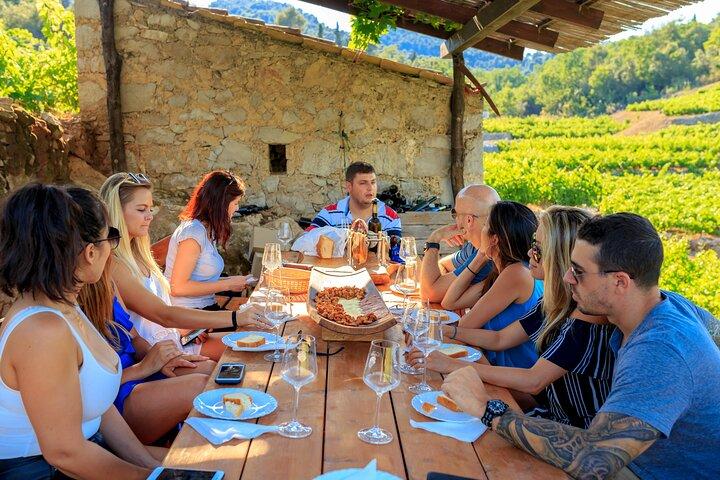Peljesac&Ston Small-Group Food & Wine Experience from Dubrovnik