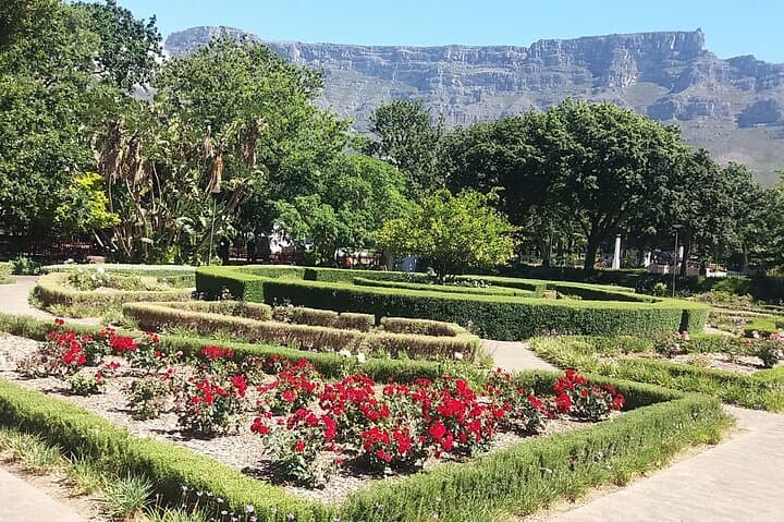 Private Cape Town Table Mountain Bo-Kaap + Cable Car Tickets H/D