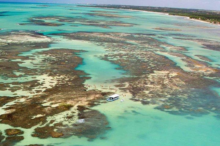 Full-Day Visit to Paripueira Beach and Tide Pools in Maceió