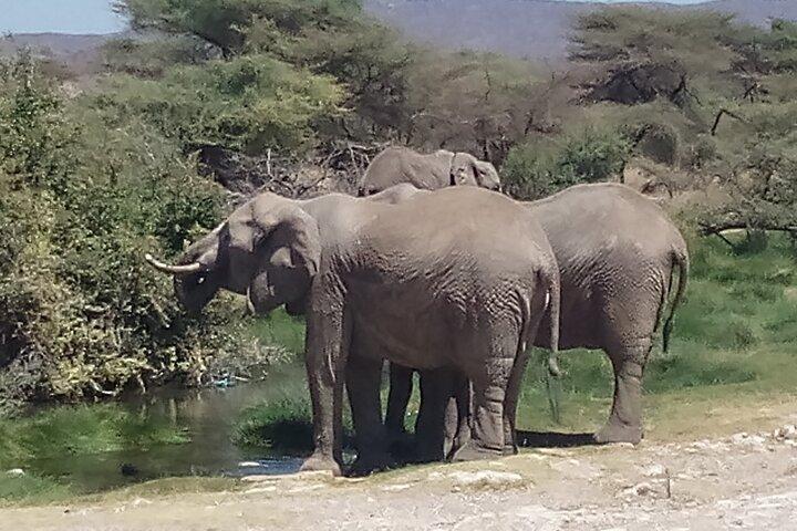 7 Days Safari Maasai Mara NR, Lake Nakuru NP Samburu NR -Luxury
