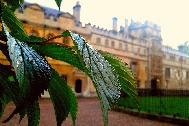 Oxford PRIVATE Pub and City Evening Walking Tour