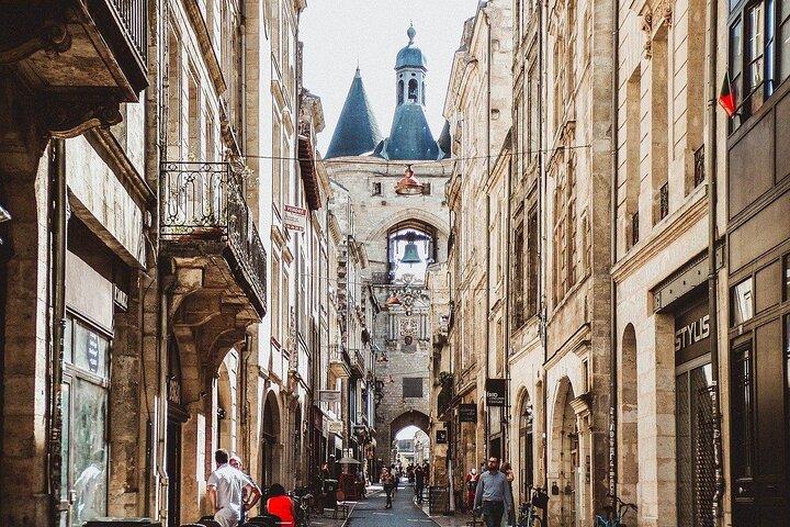 Bordeaux Private Walking Tour With A Professional Guide