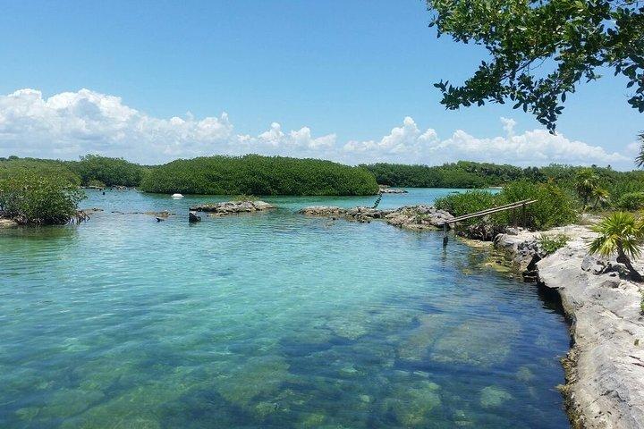 Amazing Cenote Yalku, swim in sacred waters. Transport & Guide