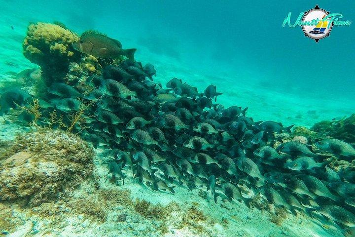 All inclusive Snorkeling at Hol Chan