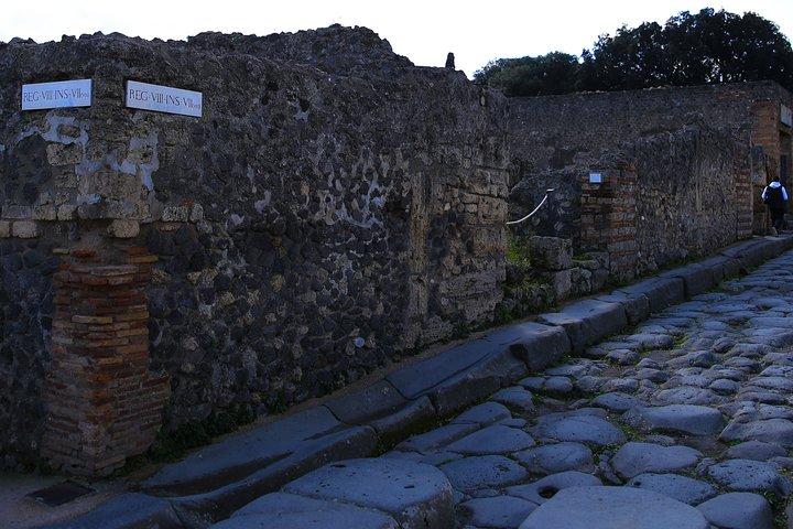 Skip the line Pompeii Tour for Kids and Families