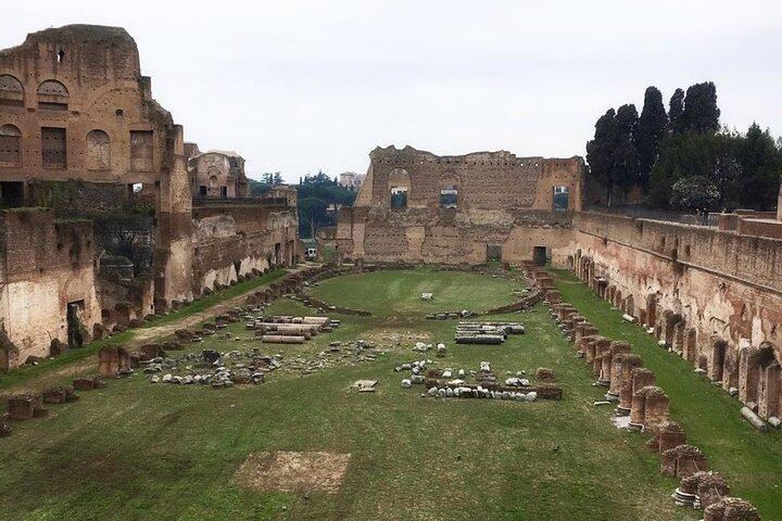 Colosseum and Ancient Rome - private tour