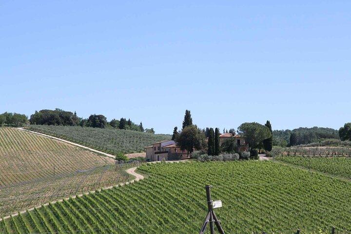 Private daytrip to Siena & Chianti wine country, with wine tasting from Florence