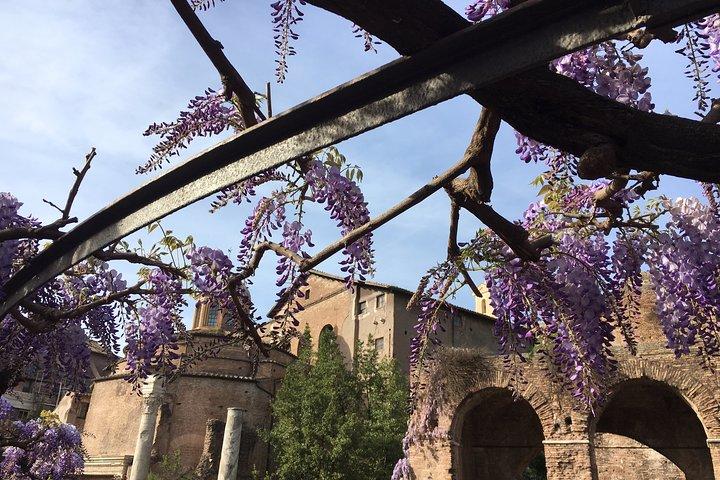 Colosseum and Ancient Rome - private tour