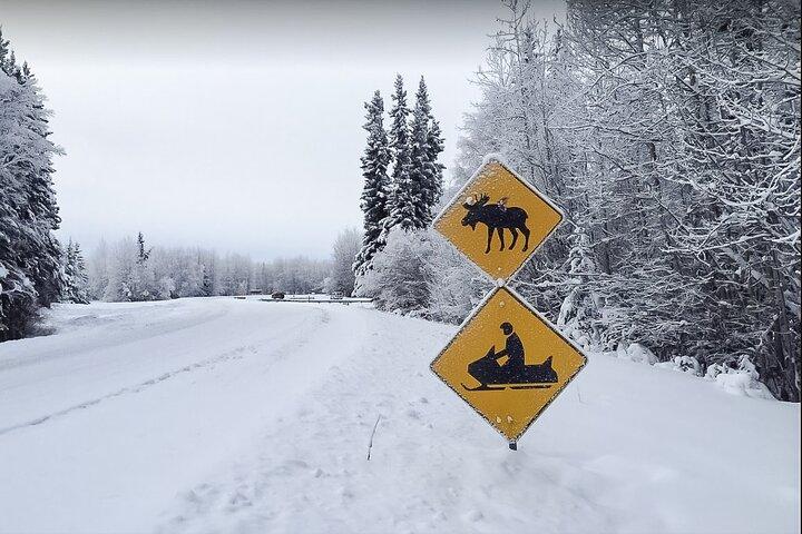 Alaska Snowmobile Adventure Tour