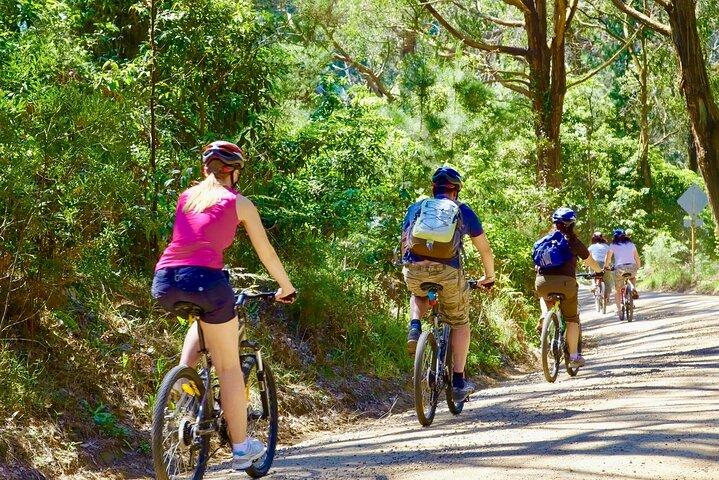 Urban Jungle Trail Cycling Tour from Colombo