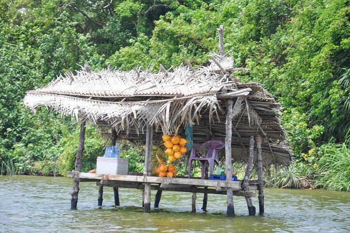 Bentota City Tour from Unawatuna