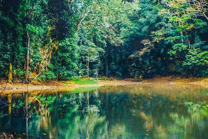 Udawattakele Forest Reserve Hiking Tour in Kandy