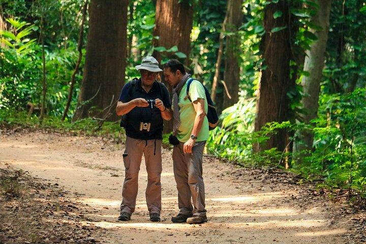 Udawattakele Forest Reserve Hiking Tour in Kandy