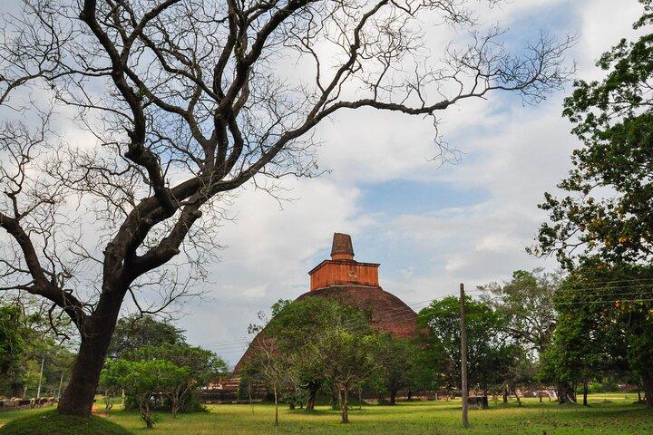 Anuradhapura Buddhist Icons Tour from Dambulla
