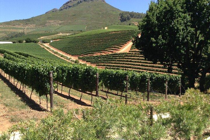 Stellenbosch Franschhoek Full-Day Tour with Cheese Tasting