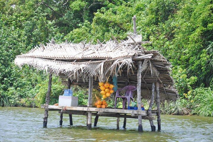 Bentota City Tour from Koggala